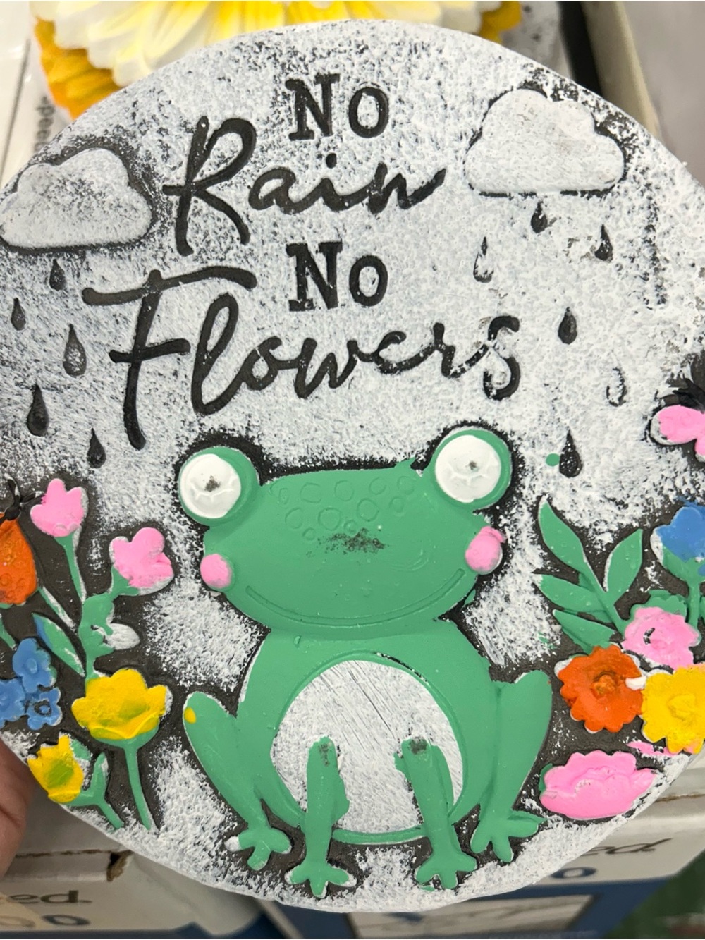 Green Frog "No Rain No Flowers" Decorative Plaque